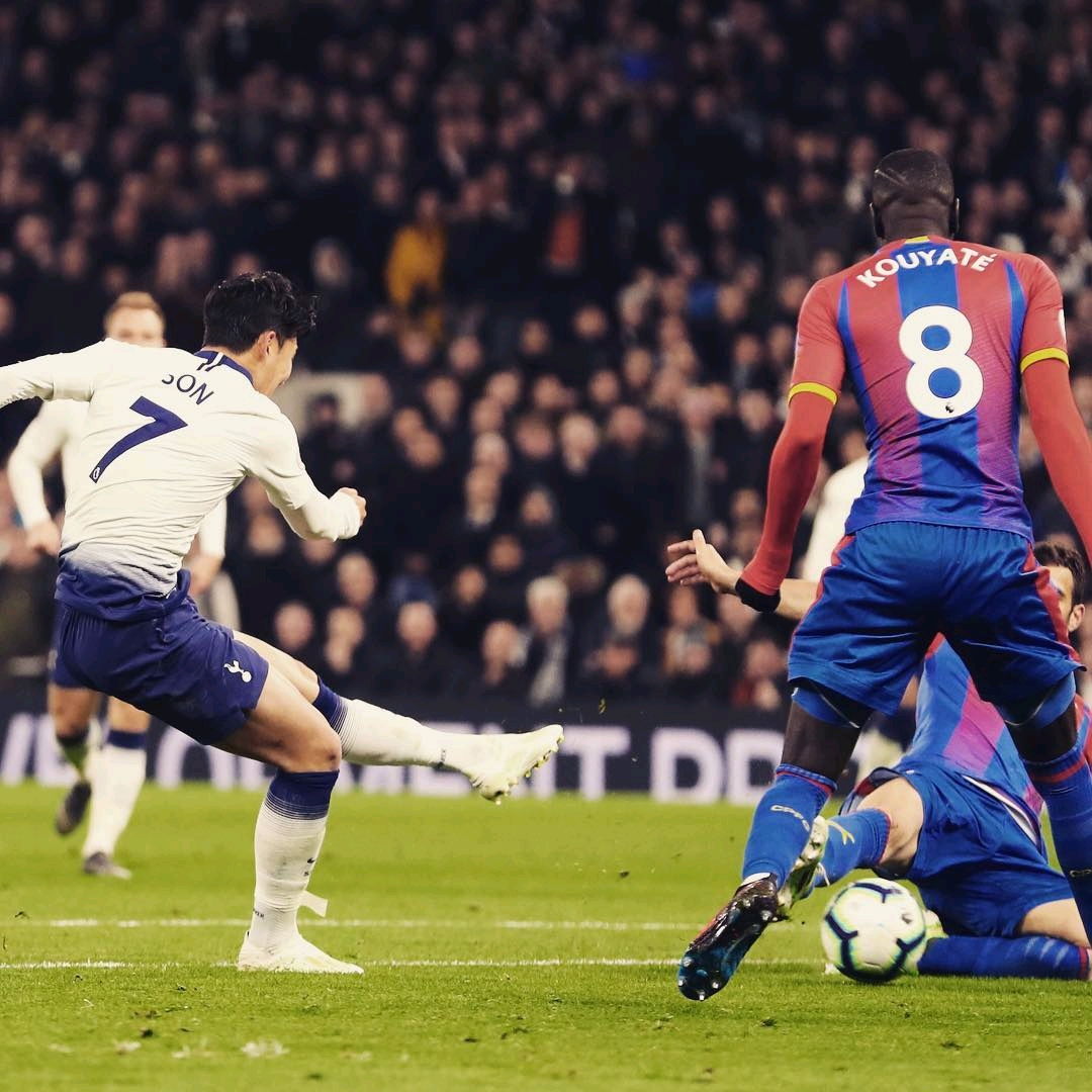 他们对球队 他们对球队