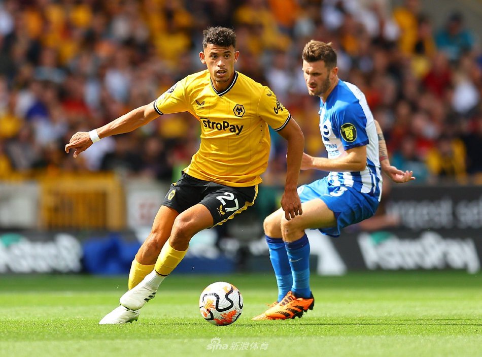 旨在展示和 旨在展示和